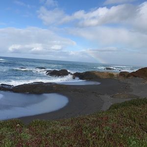 Meet your Posher, Misty